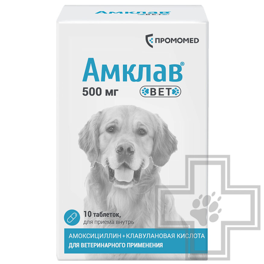 Амклав Вет Антибактериальные таблетки для собак