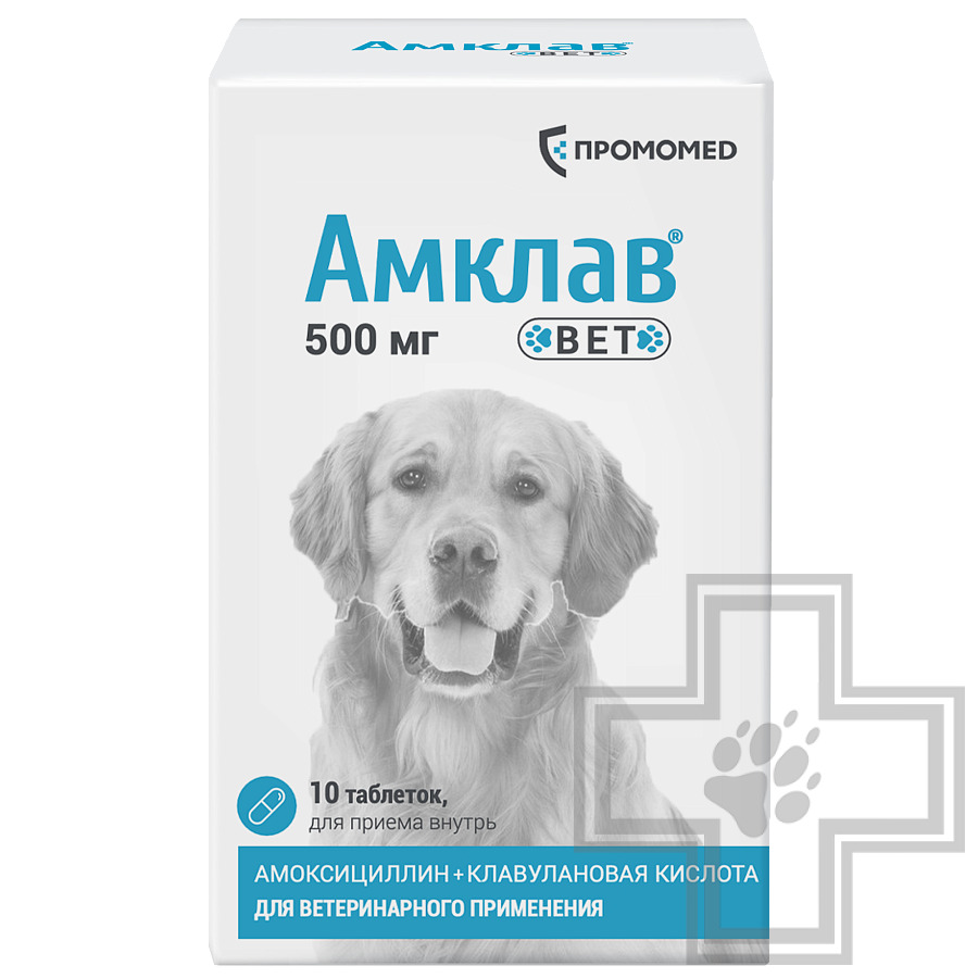 Амклав Вет Антибактериальные таблетки для собак