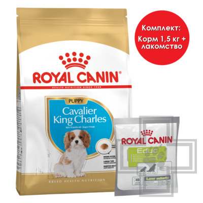 Royal Canin Cavalier King Charles Puppy + Royal Canin Educ