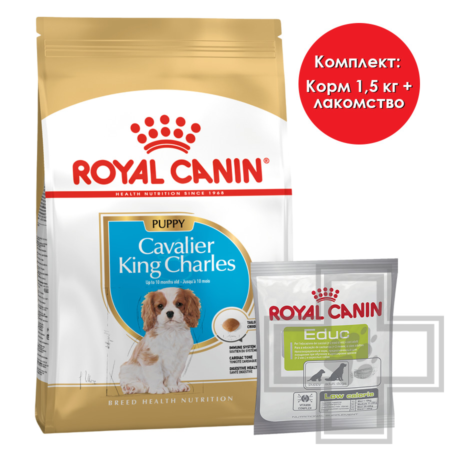 Royal Canin Cavalier King Charles Puppy + Royal Canin Educ