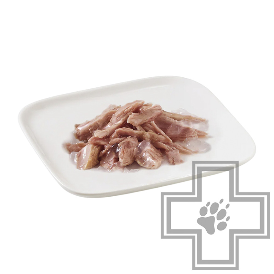 Schesir Консервы для взрослых собак, с тунцом в желе Schesir Консервы для взрослых собак, с тунцом в желе