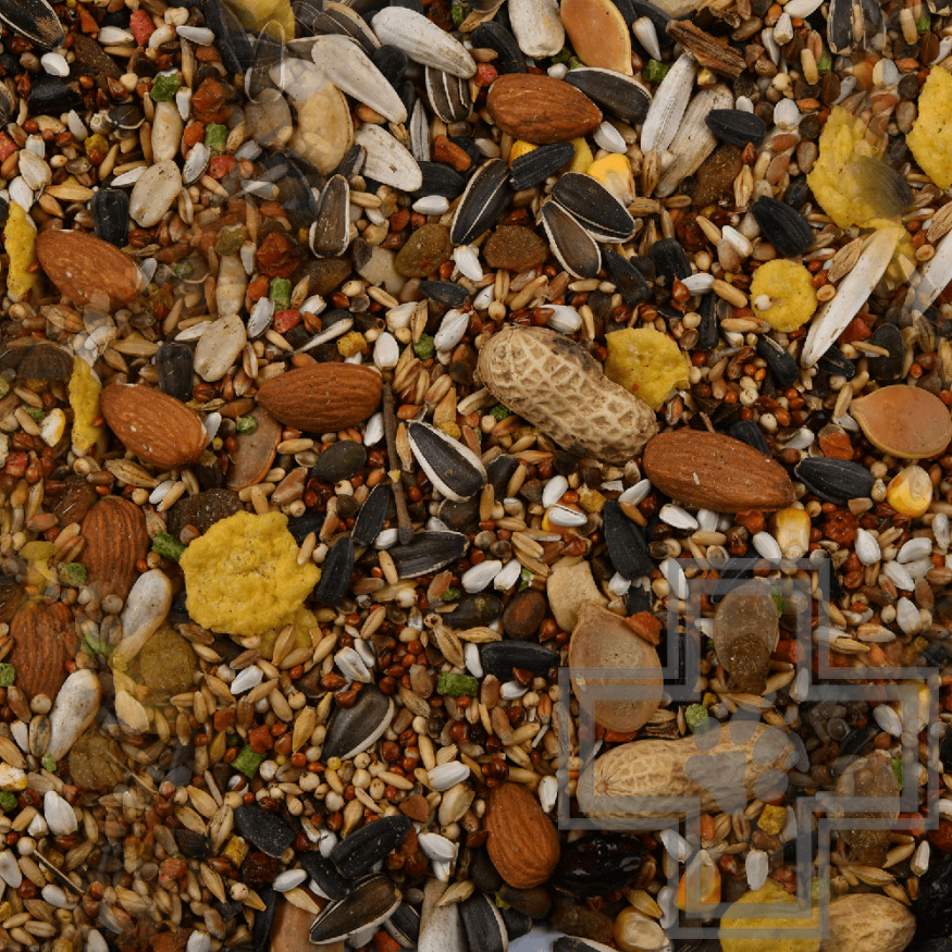 Smile King Корм для крупных попугаев Smile King Корм для крупных попугаев