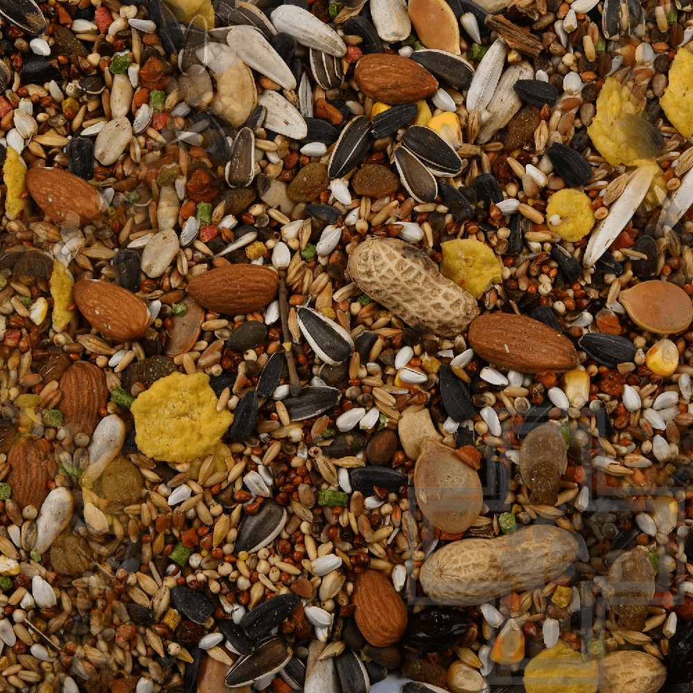 Smile King Корм для крупных попугаев