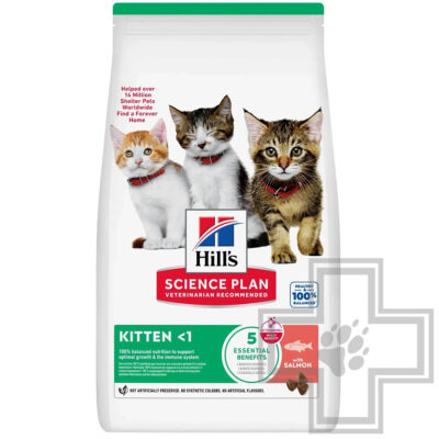 Hill's SP Kitten Корм для котят, с лососем