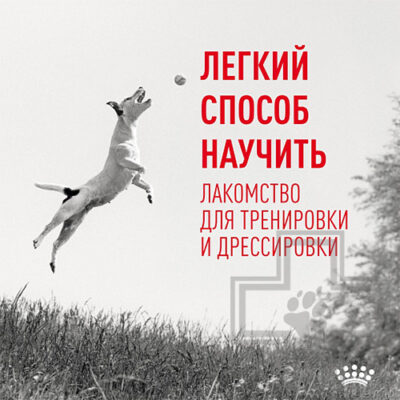 Royal Canin Training Treats Лакомство для собак старше 6 месяцев