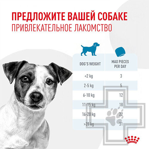 Royal Canin Training Treats Лакомство для собак старше 6 месяцев Royal Canin Training Treats Лакомство для собак старше 6 месяцев