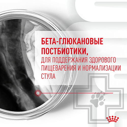 Royal Canin Immunity&Digestion Chews Лакомство для собак для иммунитета и пищеварения