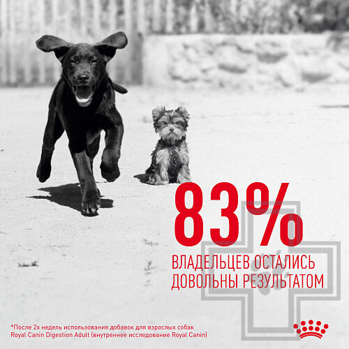 Royal Canin Immunity&Digestion Chews Лакомство для собак для иммунитета и пищеварения Royal Canin Immunity&Digestion Chews Лакомство для собак для иммунитета и пищеварения