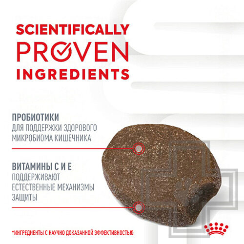 Royal Canin Immunity&Digestion Chews Лакомство для собак для иммунитета и пищеварения Royal Canin Immunity&Digestion Chews Лакомство для собак для иммунитета и пищеварения