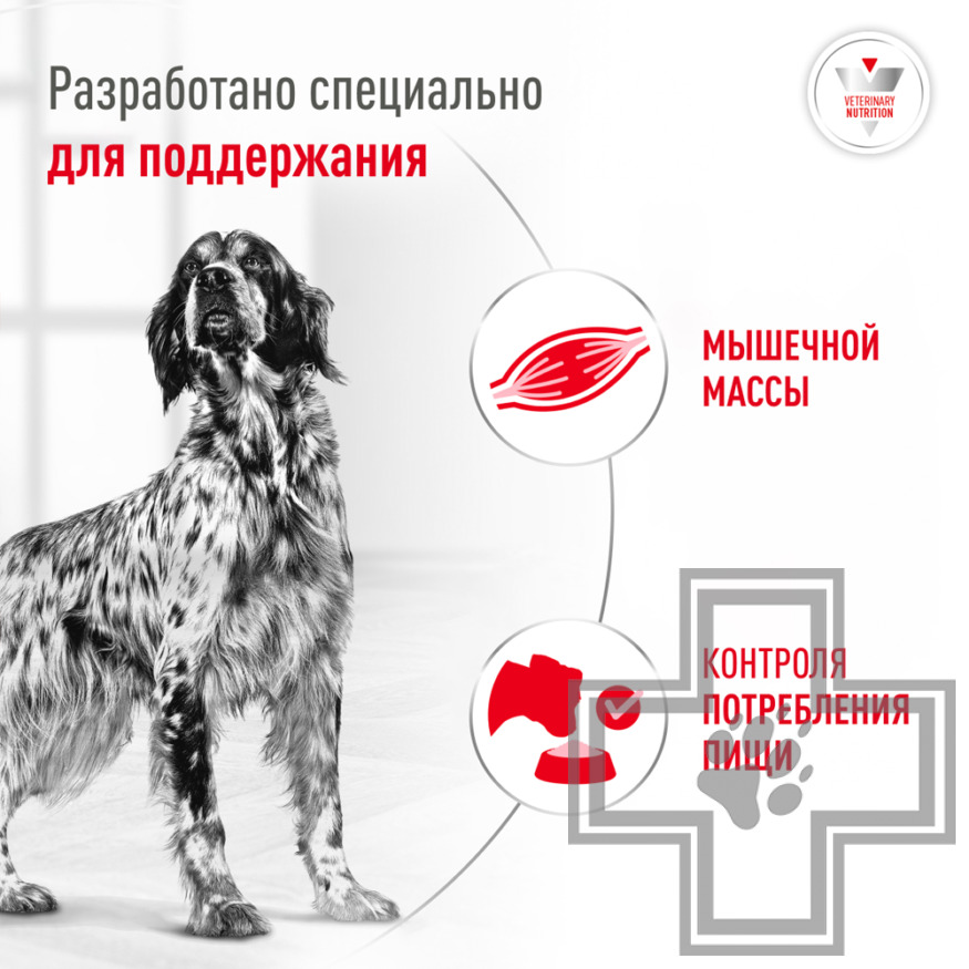 Royal Canin Glycobalance Dog Консервы-диета для взрослых собак всех пород при сахарном диабете Royal Canin Glycobalance Dog Консервы-диета для взрослых собак всех пород при сахарном диабете