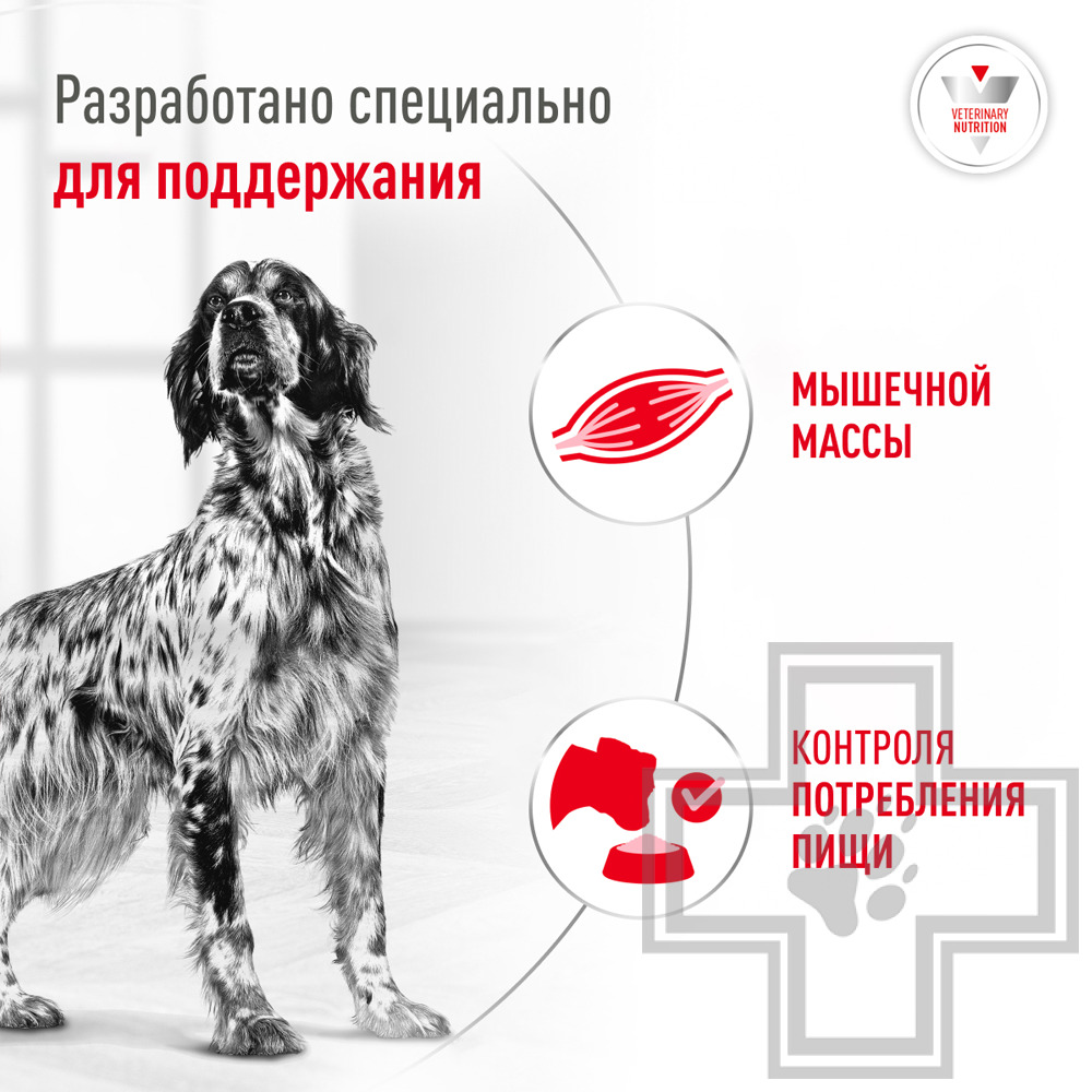 Royal Canin Glycobalance Dog Консервы-диета для взрослых собак всех пород при сахарном диабете