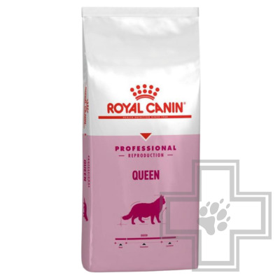 Royal Canin Queen 34 Корм для беременных и кормящих кошек