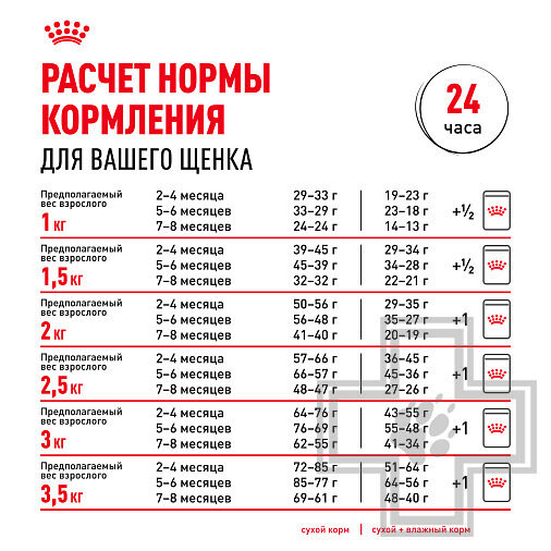 Royal Canin Chihuahua Puppy Корм для щенков породы чихуахуа