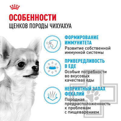 Royal Canin Chihuahua Puppy Корм для щенков породы чихуахуа