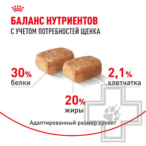 Royal Canin Chihuahua Puppy Корм для щенков породы чихуахуа
