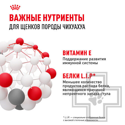 Royal Canin Chihuahua Puppy Корм для щенков породы чихуахуа