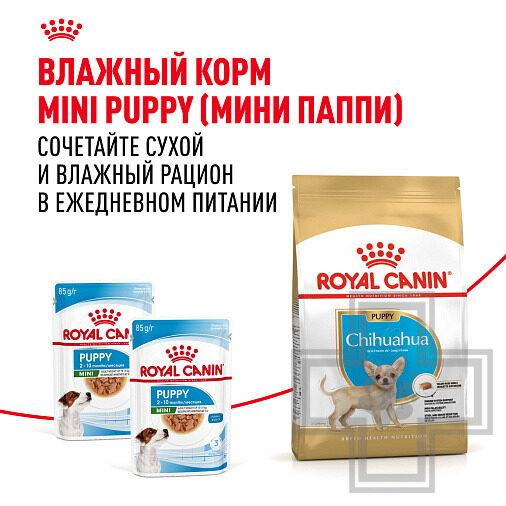 Royal Canin Chihuahua Puppy Корм для щенков породы чихуахуа