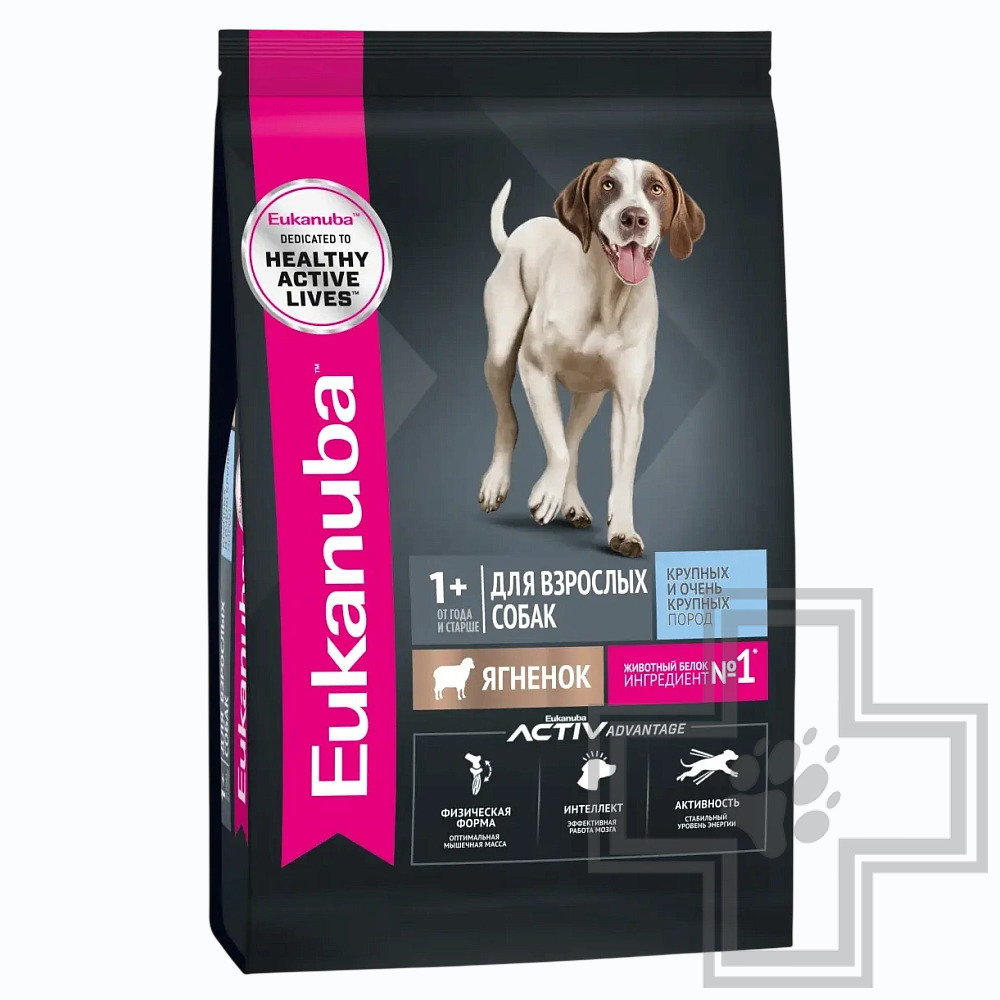Eukanuba Adult Large Breed Корм для взрослых собак крупных пород, с ягненком
