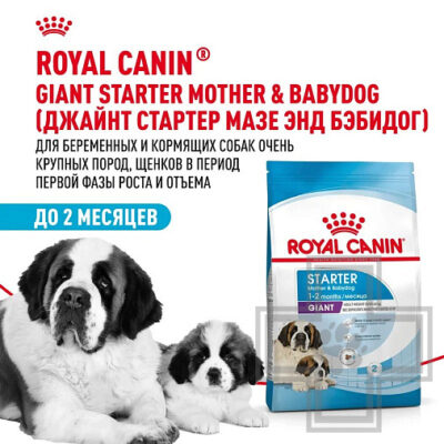 Royal Canin Giant Starter Mother & Babydog