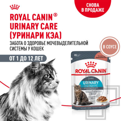 Royal Canin Urinary Пресервы для взрослых кошек для профилактики мочекаменной болезни