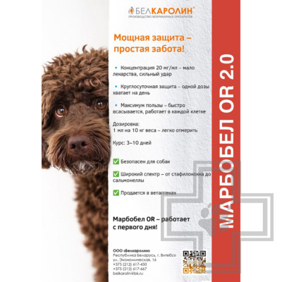 Марбобел OR 2,0 Раствор для собак